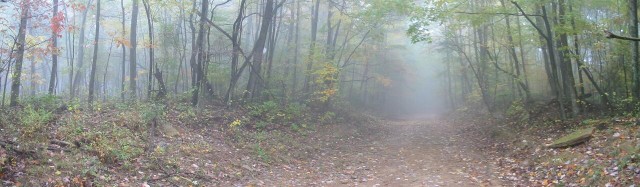 2. Ephraim Creek Road, New River Gorge National River, State of West Virginia, USA. Photo Credit: Frank Sellers, New River Gorge National River Photo Gallery (http://www.nps.gov/neri/photo.htm), Panorama Photos, National Park Service (NPS, http://www.nps.gov), United States Department of the Interior (http://www.doi.gov), Government of the United States of America (USA).