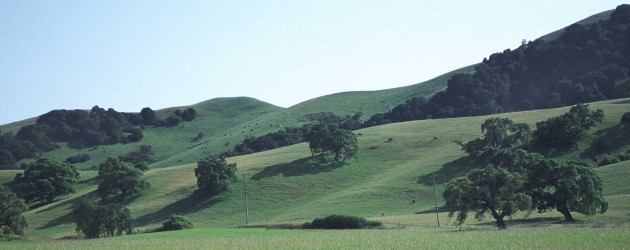 1. Rangeland with Beautiful Green Grass, Rolling Hills, and Green Trees, State of California, USA. Photo Credit: Lynn Betts (2000, http://photogallery.nrcs.usda.gov, NRCSCA00012), USDA Natural Resources Conservation Service (NRCS, http://www.nrcs.usda.gov), United States Department of Agriculture (USDA, http://www.usda.gov), Government of the United States of America (USA).