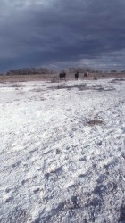 2. Facing Salt Challenges. Colorado River Basin, State of Utah, USA. Photo Credit: Ron Nichols (1994, http://photogallery.nrcs.usda.gov, NRCSUT03051), USDA Natural Resources Conservation Service (NRCS, http://www.nrcs.usda.gov), United States Department of Agriculture (USDA, http://www.usda.gov), Government of the United States of America (USA).