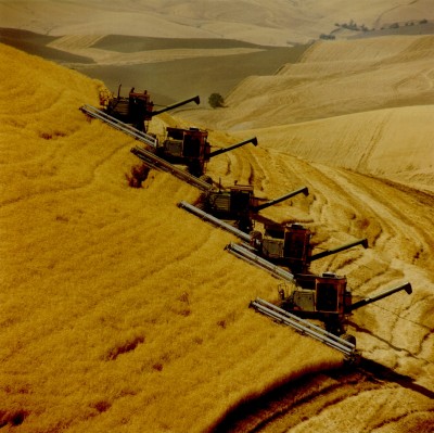 Harvesting Wheat. PNNL Photo Library (http://PictureThis.pnl.gov, SMAA-46PMG7, August 1978), Agricultural Research Category, Pacific Northwest National Laboratory (PNNL, http://www.pnl.gov), United States Department of Energy (http://www.doe.gov), Government of the United States of America.