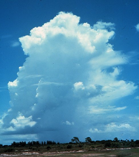 Towering Cumulus Cloud. Photo Credit: National Oceanic and Atmospheric Administration Photo Library (http://www.photolib.noaa.gov), Historic NWS (National Weather Service) Collection, National Oceanic and Atmospheric Administration (NOAA, http://www.noaa.gov), United States Department of Commerce (http://www.commerce.gov), Government of the United States of America (USA).