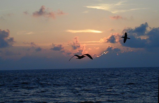 Sunset and Flying Birds over the Ocean at Clipperton Island (also known as Ile de la Passion), Possession of Republique Francaise - French Republic, Fall of 2000. Photo Credit: Juan Carlos Salinas, NMFS, SWFSC, National Oceanic and Atmospheric Administration Photo Library (http://www.photolib.noaa.gov), Small World Collection, National Oceanic and Atmospheric Administration (NOAA, http://www.noaa.gov), United States Department of Commerce (http://www.commerce.gov), Government of the United States of America (USA).