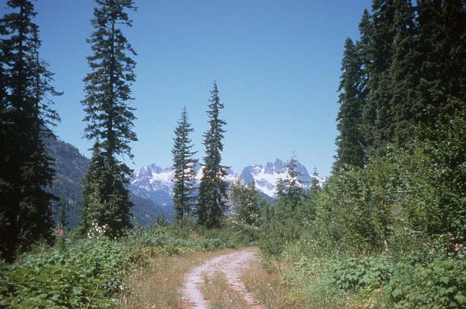 Forest Road Above Cooper Lake, Plum Creek Cascades Habitat Conservation Plan (HCP) Area. Central Casade Mountains (Central Casades), State of Washington, USA. Photo Credit: William Vogel, Pacific Image Library, United States Fish and Wildlife Service Digital Library System (http://images.fws.gov, Vogel-001), United States Fish and Wildlife Service (FWS, http://www.fws.gov), United States Department of the Interior (http://www.doi.gov), Government of the United States of America (USA).