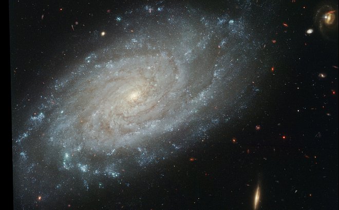 NGC 3370, a Beautiful Spiral Galaxy in the Leo Constellation, With Thousands of Distant Galaxies in the Background. Photo Credit: Celestial Composition, Early September 2003 (Released: September 4, 2003), STScI-2003-24, NASA's Earth-orbiting Hubble Space Telescope; Adam Riess (STScI, http://www.stsci.edu), The Hubble Heritage Team (http://HubbleSite.org), National Aeronautics and Space Administration (NASA, http://www.nasa.gov), Government of the United States of America (USA).