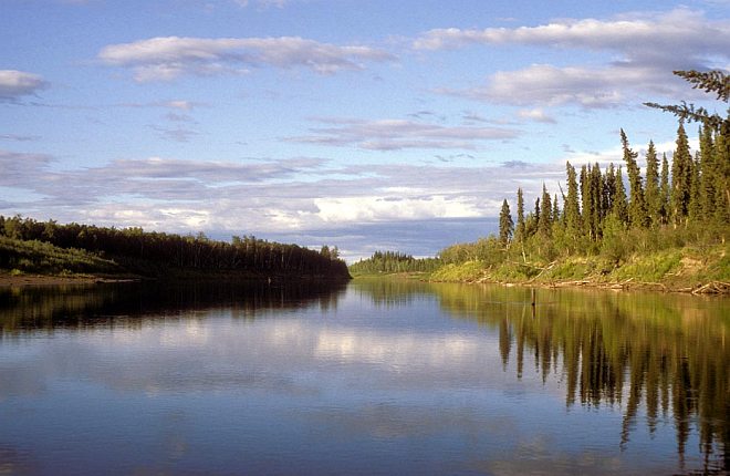 The Tree-Lined Nowitna River in the Summer, Nowitna National Wildlife Refuge, State of Alaska, USA. Photo Credit: M. LeFever, Alaska Image Library, United States Fish and Wildlife Service Digital Library System (http://images.fws.gov, NOW-0009), United States Fish and Wildlife Service (FWS, http://www.fws.gov), United States Department of the Interior (http://www.doi.gov), Government of the United States of America (USA).