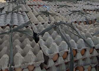 1. Fresh Eggs Unloaded From Singapore's C-130 Aircraft; the Cargo Also Included Rice and Clothing, January 5, 2005. Aceh, Sumatra, Republik Indonesia. Photo Credit: Photographer's Mate 3rd Class Gabriel Piper, Navy NewsStand - Eye on the Fleet Photo Gallery (http://www.news.navy.mil/view_photos.asp, 050105-N-6020P-013), United States Navy (USN, http://www.navy.mil), United States Department of Defense (DoD, http://www.DefenseLink.mil or http://www.dod.gov), Government of the United States of America (USA).