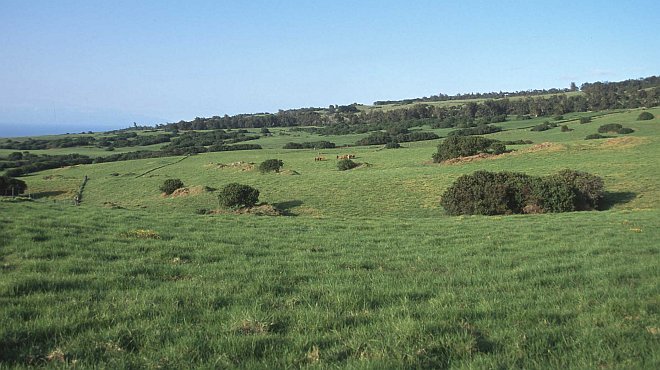 Scenic view of an empty pasture, rangeland, or field in the State of Hawaii, USA. Photo Credit: USDA NRCS (http://photogallery.nrcs.usda.gov, NRCSHI03017), USDA Natural Resources Conservation Service (NRCS, http://www.nrcs.usda.gov), United States Department of Agriculture (USDA, http://www.usda.gov), Government of the United States of America (USA).