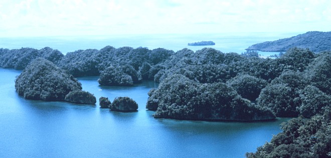 Beautiful View of Limestone Islets Sculptured in Karst Topography, August 1973. Malakal, Koror, Beluu er a Belau - Republic of Palau. Photo Credit: Dr. James P. McVey, NOAA Sea Grant Program; National Oceanic and Atmospheric Administration Photo Library (http://www.photolib.noaa.gov, mvey0133), Small World Collection, National Oceanic and Atmospheric Administration (NOAA, http://www.noaa.gov), United States Department of Commerce (http://www.commerce.gov), Government of the United States of America (USA). For further information about karst landscapes, see the United States Geological Survey (USGS) Open-file Report 97-536A titled Karst Topography - Teacher's Guide and Paper Model <http://wrgis.wr.usgs.gov/docs/parks/cave/karst.html> by Tau Rho Alpha, John P. Galloway, and John C. Tinsley III.