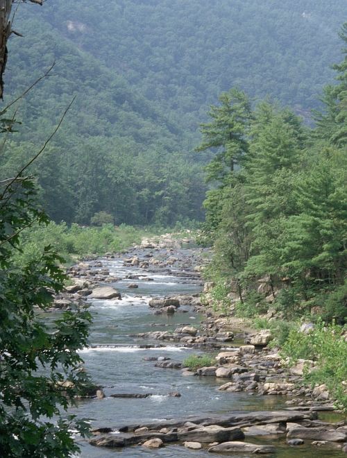 Scenic View of the Maury River and Green Surroundings at Goshen Pass in Rockbridge County, Commonwealth of Virginia, USA. Photo Credit: Michael L. Smith, Washington DC Library, United States Fish and Wildlife Service Digital Library System (http://images.fws.gov, WO-Scenics-2336), United States Fish and Wildlife Service (FWS, http://www.fws.gov), United States Department of the Interior (http://www.doi.gov), Government of the United States of America (USA).