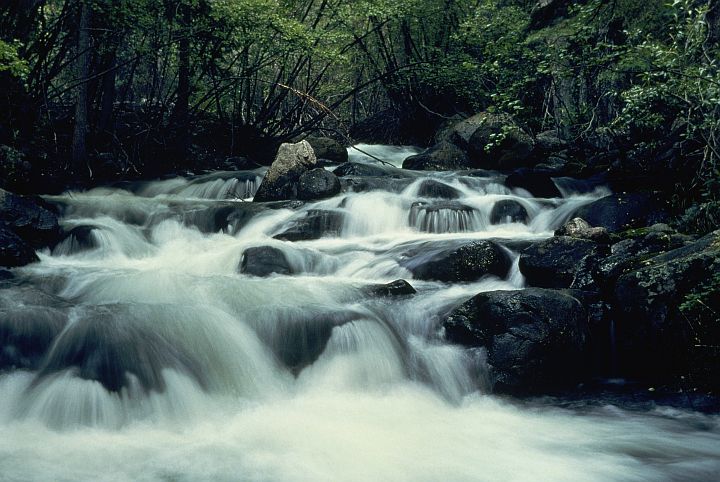 Miniature Waterfalls Are Created as the Waters Flow Over the Rocks. Photo Credit: Curtis J. Carley, Washington DC Library, United States Fish and Wildlife Service Digital Library System (http://images.fws.gov, WO-Scenic-2962), United States Fish and Wildlife Service (FWS, http://www.fws.gov), United States Department of the Interior (http://www.doi.gov), Government of the United States of America (USA).