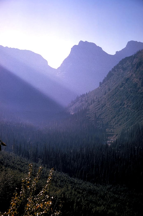 Mountain Peaks High Above the Alpine Valley, State of Alaska, USA. Photo Credit: James Henderson, Alaska Image Library, United States Fish and Wildlife Service Digital Library System (http://images.fws.gov, SL-03302), United States Fish and Wildlife Service (FWS, http://www.fws.gov), United States Department of the Interior (http://www.doi.gov), Government of the United States of America (USA).