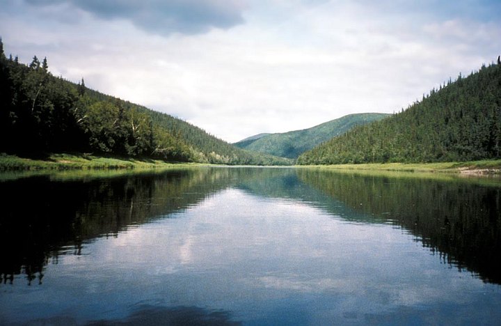 Peaceful Scene Inside Nowitna National Wildlife Refuge, State of Alaska, USA. Photo Credit: U.S. FWS, Alaska Image Library, United States Fish and Wildlife Service Digital Library System (http://images.fws.gov, NOW-0006), United States Fish and Wildlife Service (FWS, http://www.fws.gov), United States Department of the Interior (http://www.doi.gov), Government of the United States of America (USA).