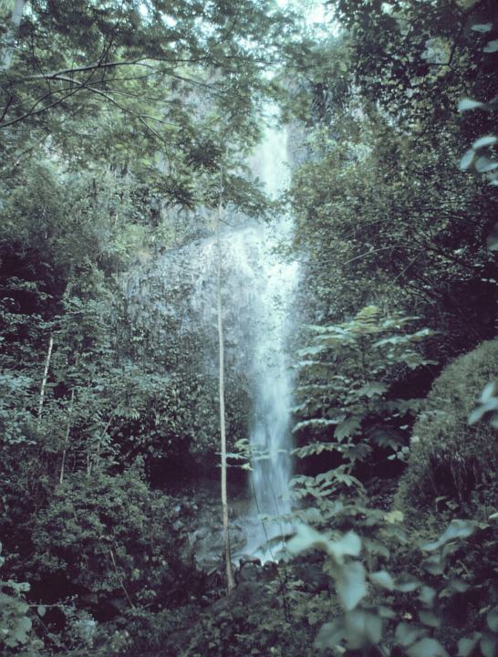 A Waterfall, as Seen Through the Rain Forest in Kauai, State of Hawaii, USA. Photo Credit: Commander John Bortniak, NOAA Corps (retired); National Oceanic and Atmospheric Administration Photo Library (http://www.photolib.noaa.gov, line0432), America's Coastlines Collection, NOAA Central Library, National Oceanic and Atmospheric Administration (NOAA, http://www.noaa.gov), United States Department of Commerce (http://www.commerce.gov), Government of the United States of America (USA).