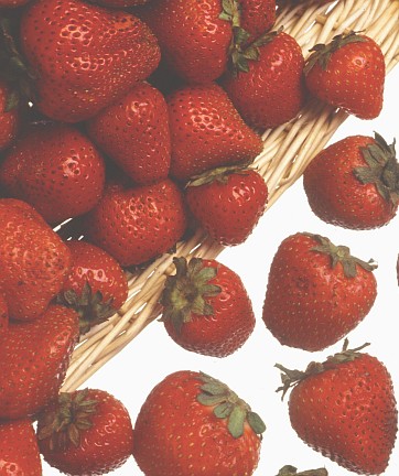 1. Strawberries: Red, Juicy, Sweet and Nutritious. Keith Weller (http://www.ars.usda.gov/is/graphics/photos, K3905-1), Agricultural Research Service (ARS, http://www.ars.usda.gov), United States Department of Agriculture (USDA, http://www.usda.gov), Government of the United States of America (USA).