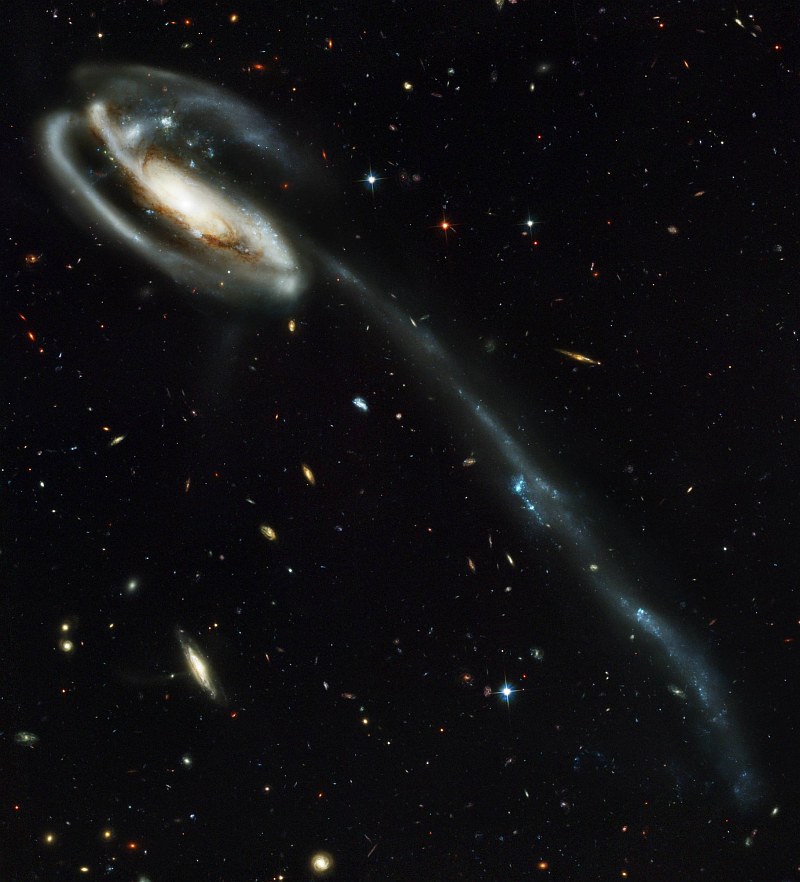 Spectacular, Beautiful, and Magnificent View of Peculiar-Looking Spiral Galaxy UGC 10214 -- Tadpole Galaxy (Arp 188) -- With Thousands of Galaxies In the Background, Draco Constellation. Photo Credit: Hubble's New Camera Delivers Breathtaking Views of the Universe, April 1, 2002 and April 9, 2002 (Release date: April 30, 2002), STScI-2002-11, NASA's Earth-orbiting Hubble Space Telescope (http://HubbleSite.org); H. Ford (JHU), G. Illingworth (UCSC/LO), M.Clampin (STScI), G. Hartig (STScI), the Advanced Camera for Surveys (ACS) Science Team, European Space Agency (ESA, http://SpaceTelescope.org), National Aeronautics and Space Administration (NASA, http://www.nasa.gov), Government of the United States of America (USA). The ACS Science Team: H. Ford, G. Illingworth, M. Clampin, G. Hartig, T. Allen, K. Anderson, F. Bartko, N. Benitez, J. Blakeslee, R. Bouwens, T. Broadhurst, R. Brown, C. Burrows, D. Campbell, E. Cheng, N. Cross, P. Feldman, M. Franx, D. Golimowski, C. Gronwall, R. Kimble, J. Krist, M. Lesser, D. Magee, A. Martel, W. J. McCann, G. Meurer, G. Miley, M. Postman, P. Rosati, M. Sirianni, W. Sparks, P. Sullivan, H. Tran, Z. Tsvetanov, R. White, and R. Woodruff.