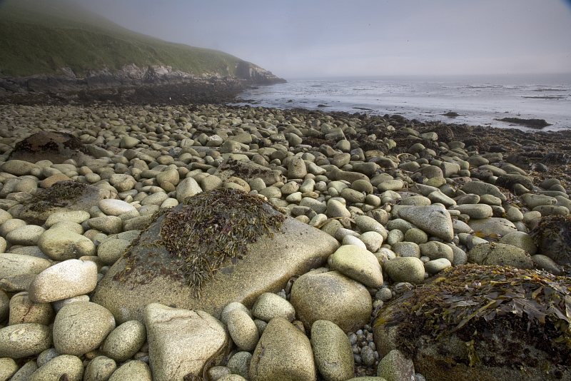 There Are Many Smooth Surfaced, Rounded Stones (Rocks) of Various Sizes On This Alaska Maritime National Wildlife Refuge (AMNWR) Beach at Chowiet Island, Semidi Islands, State of Alaska, USA. Photo Credit: Steve Hillebrand, Alaska Image Library, United States Fish and Wildlife Service Digital Library System (http://images.fws.gov), United States Fish and Wildlife Service (FWS, http://www.fws.gov), United States Department of the Interior (http://www.doi.gov), Government of the United States of America (USA).
