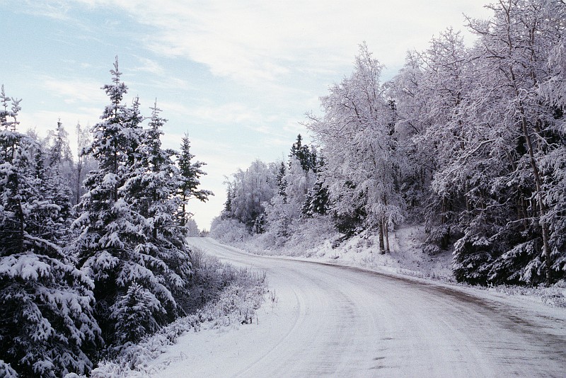 Pretty Winter Scene of a Snow-Covered Road and Trees, December 1995, Elmendorf Air Force Base, State of Alaska, USA. Photo Credit: MSgt. Thomas Coaxum, United States Air Force; Defense Visual Information Center (DVIC, http://www.DoDMedia.osd.mil, DFST9804125 and F3707SPT960004 (U)) and United States Air Force (USAF, http://www.af.mil), United States Department of Defense (DoD, http://www.DefenseLink.mil or http://www.dod.gov), Government of the United States of America (USA).