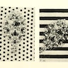 Flatfish Camouflage Experiments (1911)