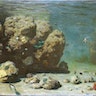 En Pleine Mer: The Underwater Landscapes of Eugen von Ransonnet-Villez