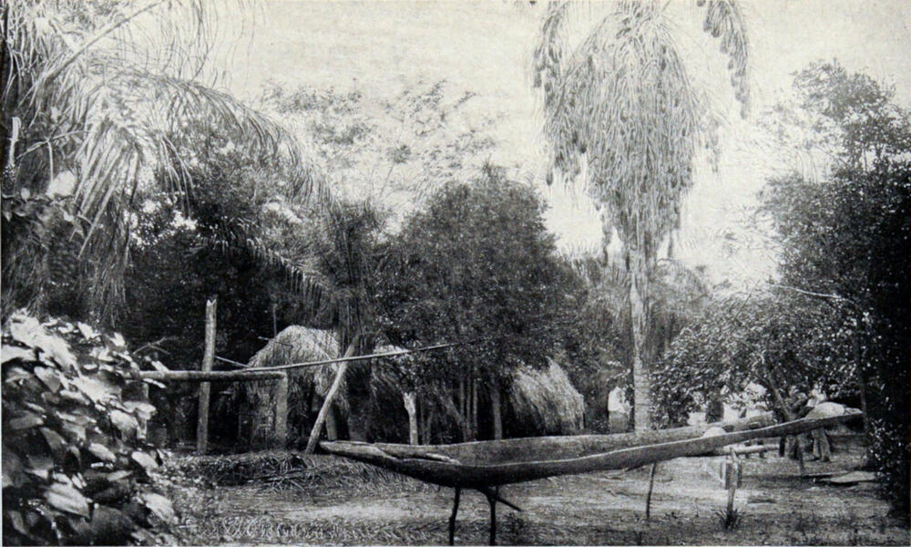 A photograph of a building nestled among palm trees. It has a thatched roof. In front of the building is a dugout canoe.
