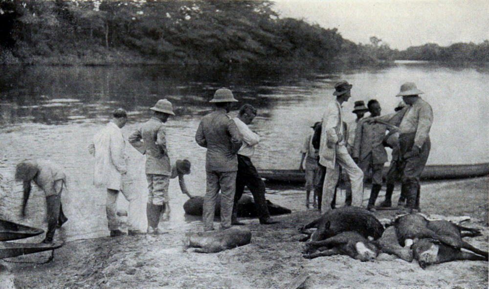 A photograph of twelve men standing on a riverbank, with a dugout canoe floating in the river behind them. In front of them in the sand lay the bodies of several animals.