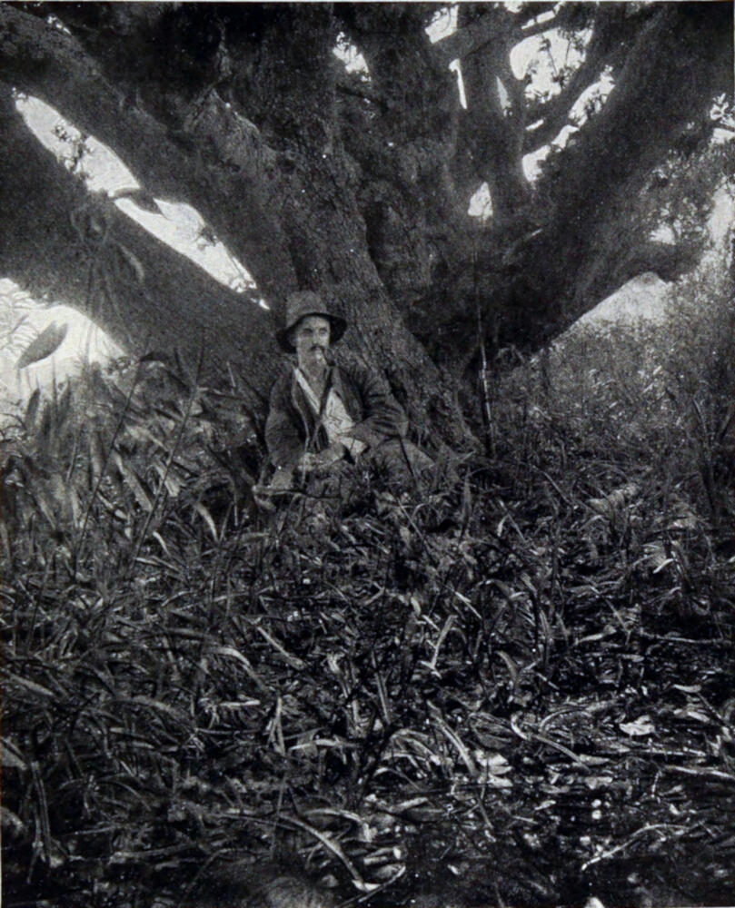 A photograph of a man with a pipe in his mouth, sitting with his back against a large tree. The gound in front of him is covered in tall grass.