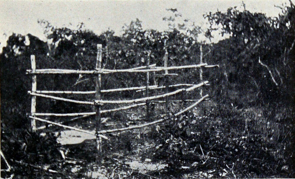 A photograph of a grave surrounded by a fence made of tree branches lashed together.