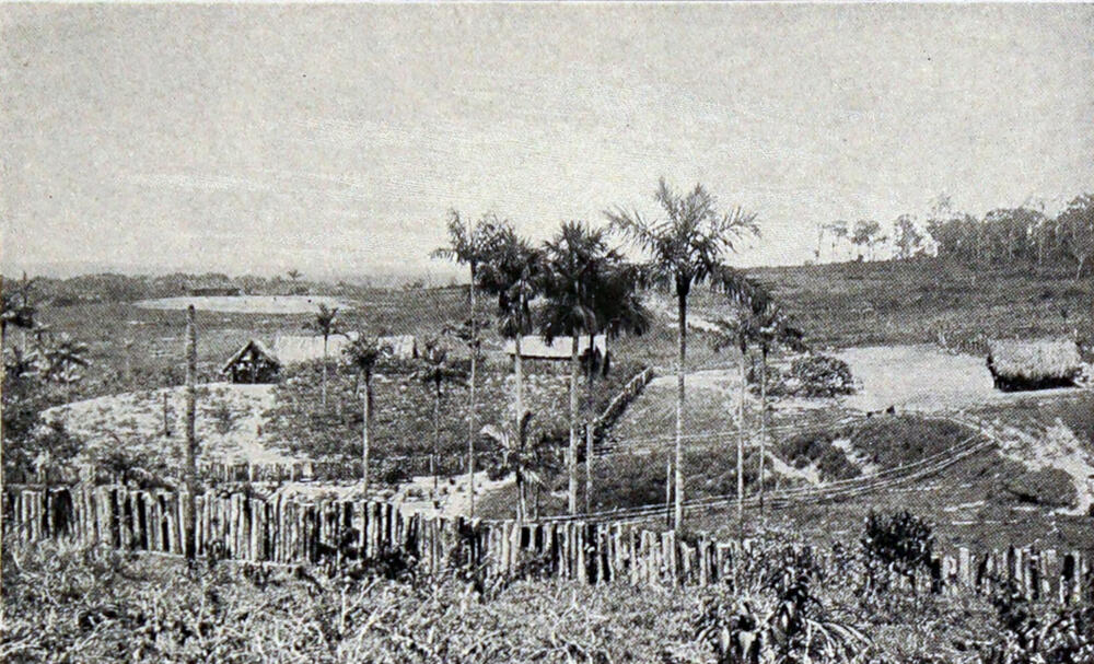A photograph of a grouping of huts with thatched roofs. The buildings are surrounded by a fence made of wooden poles.