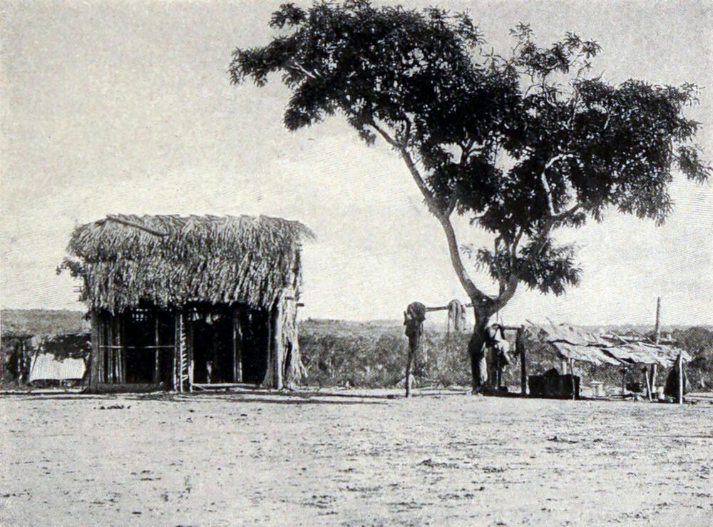 A photograph of a building with a thatched roof to the left, a tree to the right, and a rack for hanging attached to the tree.