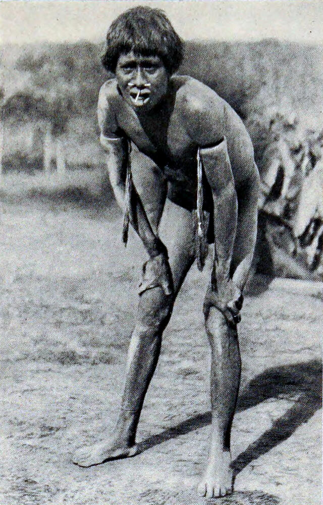 A photograph of a native man with a bone through his nose and another through his lip, and he is wearing a loincloth. He is standing slightly bent, with his hands resting on his legs above his knees. He wears bands of string on each arm.