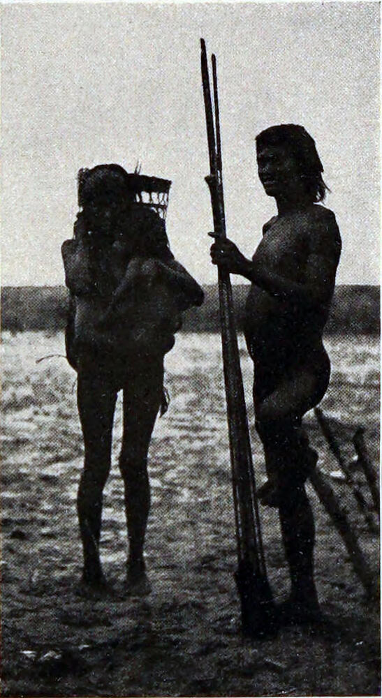 A photograph of a native man and woman standing in a sandy field. the man has a pair of long spears in his left hand, and the woman is carrying a woven basket on her back.