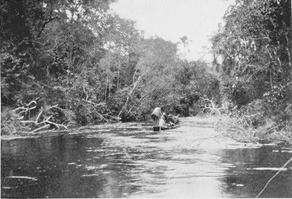 A photograph of a river, with banks on either side, and a canoe with four men moving downstream.