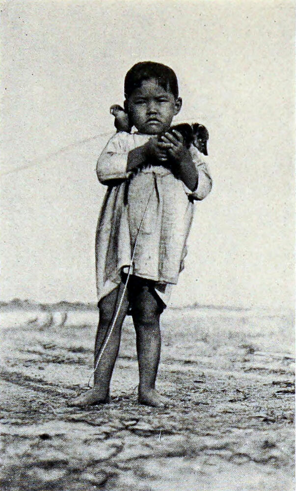 A photograph of a small boy holding a furry animal. He has a bird on his right shoulder.