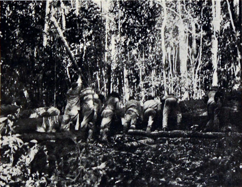 A photograph of several men bending over a hollowed-out log as they build a large canoe.
