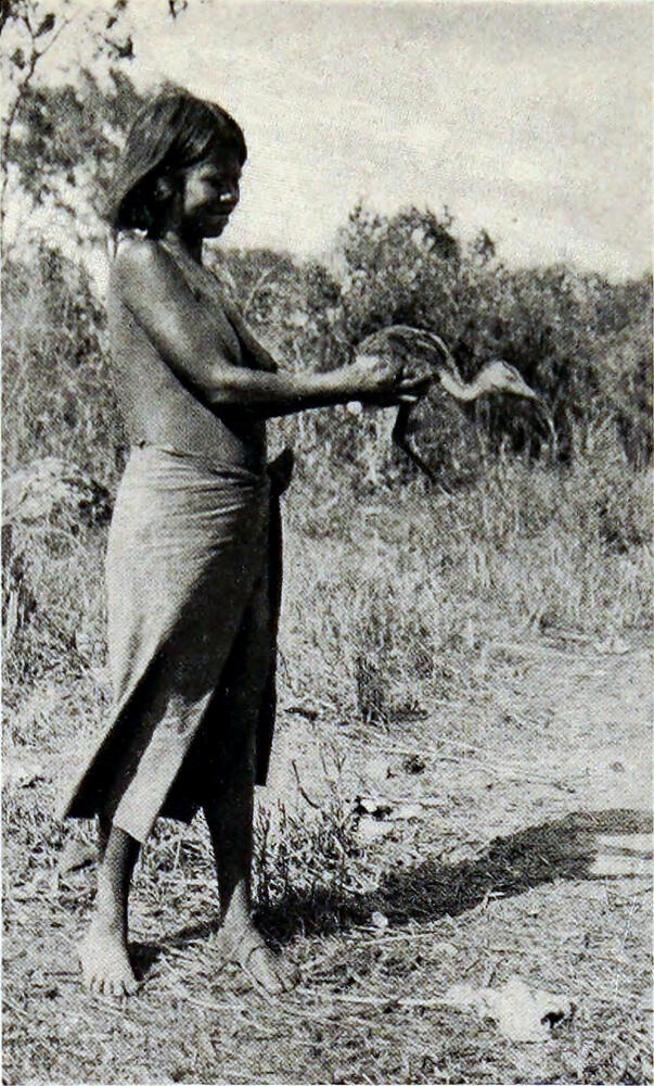 A photograph of a young girl holding a bird.