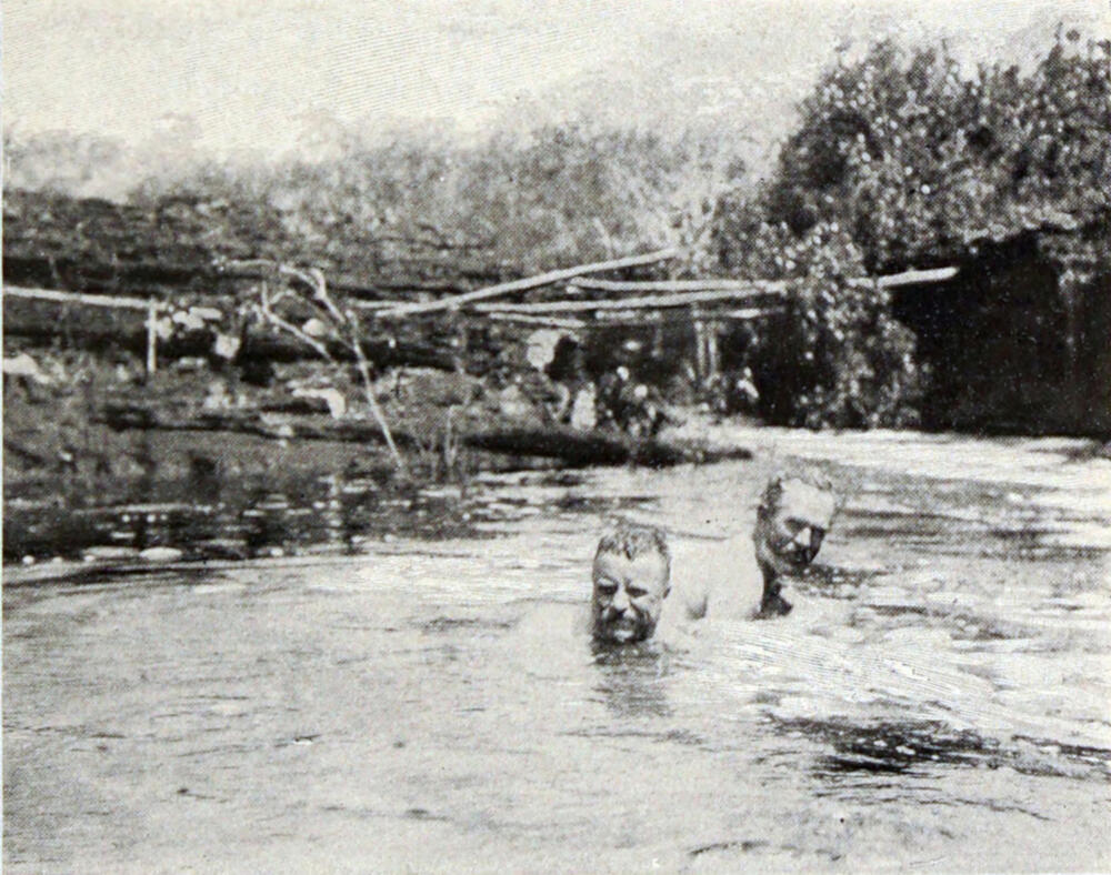 A photograph of two men swimming in a river, near one bank.
