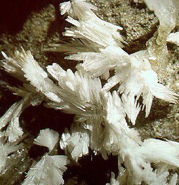 Guérinite (Guerinite), Duranus.