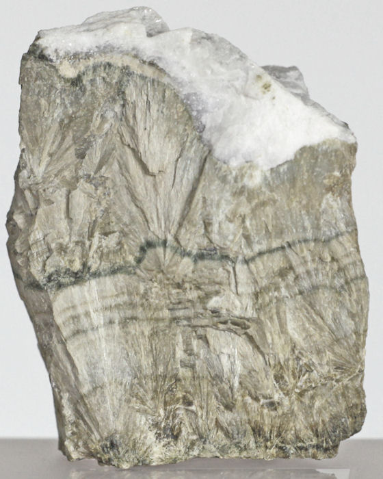 johannsenite, Campiglia Maritima