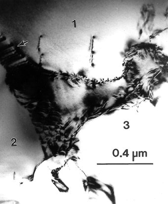 Paraniite-(Y), Fianel.