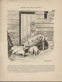 Alfred Le Petit : Le cochon (1898)