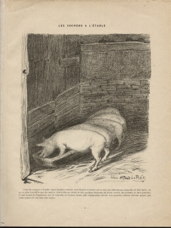 Alfred Le Petit : Le cochon (1898)