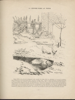 Alfred Le Petit : Le cochon (1898)