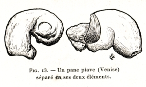 Fig. 13