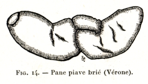 Fig. 14