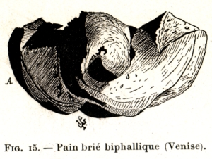 Fig. 15