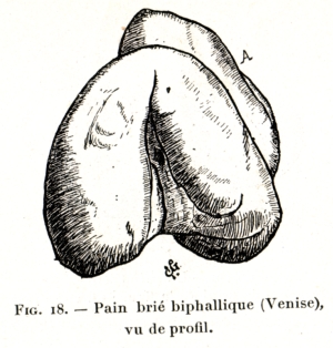 Fig. 18