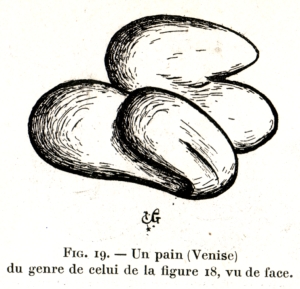 Fig. 19