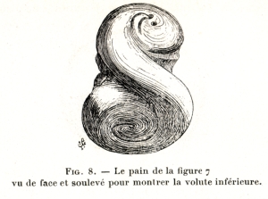 Fig. 8