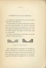 Section de lettres-xylocristal