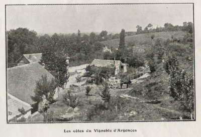 Les Ctes du vignoble d'Argences